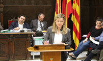 El Ple dóna suport a l’adequació i millora dels parcs canins del municipi