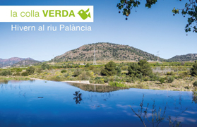 La Colla Verda comença 2018 amb noves accions mediambientals en el riu Palància