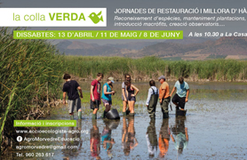 La Colla Verda organitza una nova jornada de restauració i millora d’hàbitats naturals