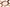Consejo de Paz y Solidaridad