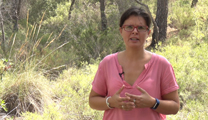 La Generalitat, conforme amb la sol·licitud de Paratge Natural Municipal per a la muntanya de Romeu