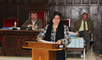 El Ple aprova per unanimitat compensar al sector citrícola pels danys deguts a les pluges