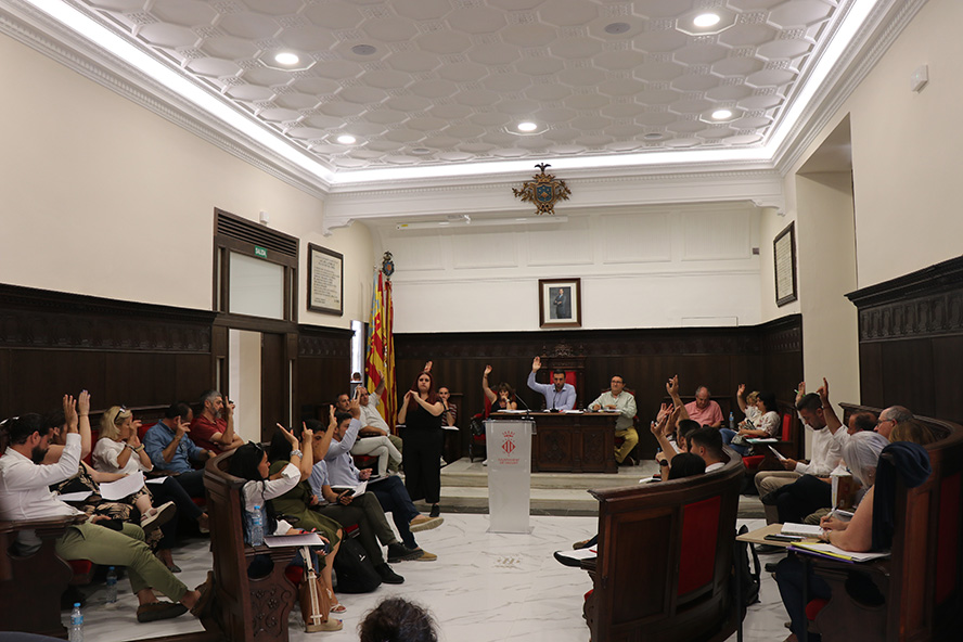 El Pleno Municipal acuerda instar al Gobierno y la Generalitat a instalar pasarelas sobre la V-23 y la AP-7