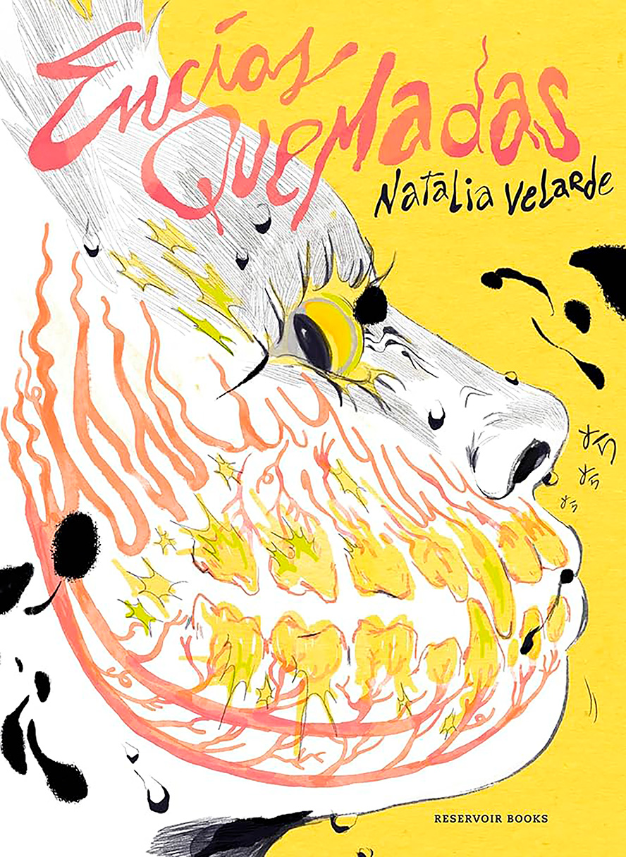 Los Premios Splash 2026 distinguen a Natalia Velarde, Alfonso Font y Ana Penyas entre los referentes del cómic