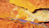 El Centro Cultural Mario Monreal acogerá la exposición fotográfica “El Color”, de Encarna Tort