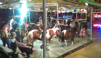 La Junta de Gobierno aprueba no permitir la utilización de carruseles de ponis en eventos festivos