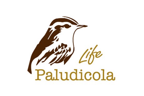 icono proyecto life