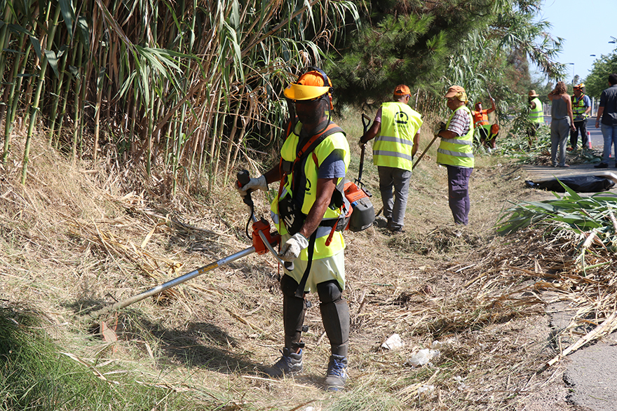 67 personas procedentes del paro trabajan en mejorar los caminos rurales este verano 