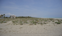 La Colla Verda organitza una quedada per netejar la platja d’Almardà 