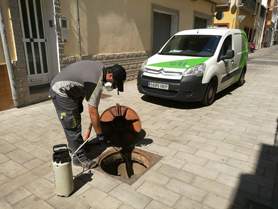 El tractament contra panderoles, mosquits i rates continua a partir de dilluns que ve al Port de Sagunt