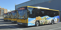 Sagunto celebrará el martes el “Día sin coche” con autobuses gratuitos 