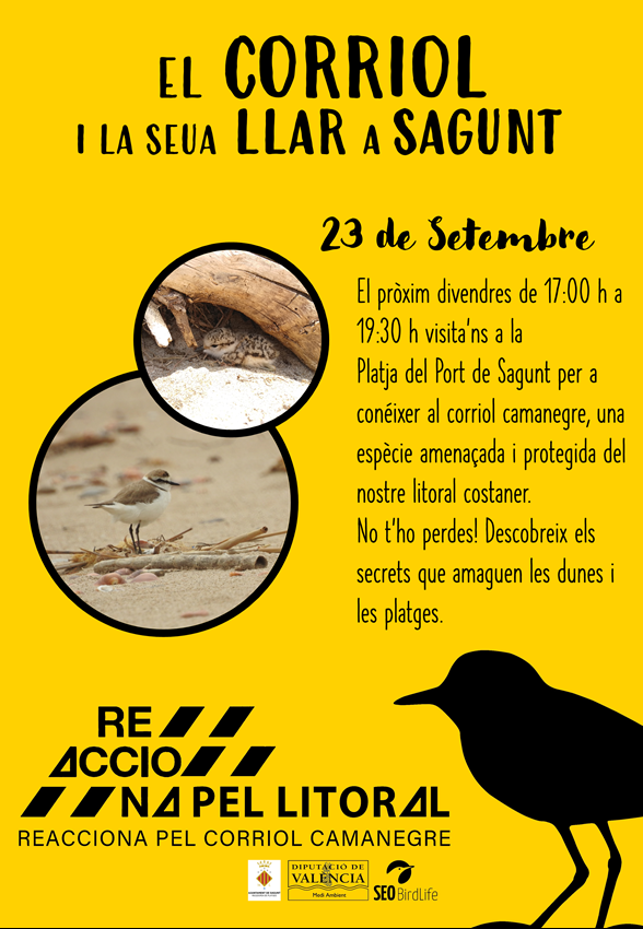 Cartell de l'activitat
