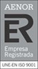 Icono ISO 9001