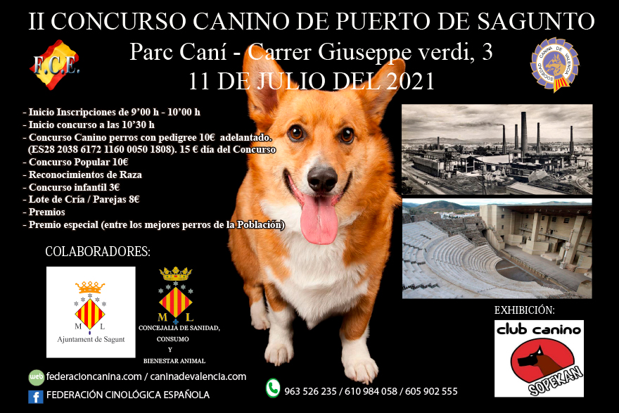 Diumenge que ve se celebrarà el II Concurs Caní de Port de Sagunt