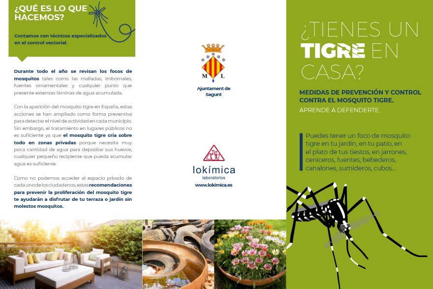 El departamento municipal de Sanidad está tratando los focos catalogados ante la proliferación tras las lluvias del mosquito tigre en el municipio