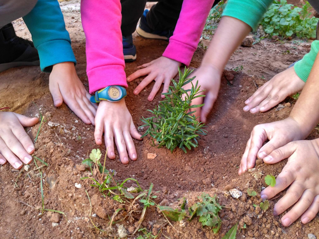 Els col·legis de Sagunt celebren el Dia de l'Arbre Escolar