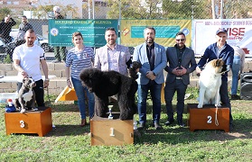 Les Jornades Canines d'Educació per a la Convivència conclouen amb gran èxit de participació