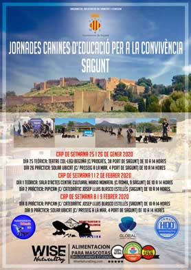 Sagunt continua este cap de setmana amb les Jornades Canines d'Educació per a la Convivència