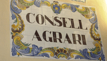 El president del Consell Local Agrari elevarà al Ple la proposta de AVA-ASAJA per a prevenir la plaga de l'insecte psila africana