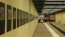 El Grup fotogràfic ARSE i el seu president, Juan Higueras, exposen les seues obres en la prestigiosa Art Quake Kyoto 2017